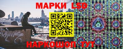 индика Аргун