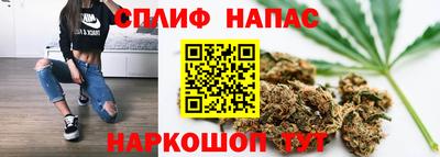 индика Аргун